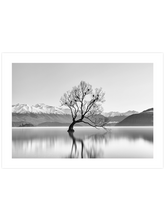 Purity - Art Print